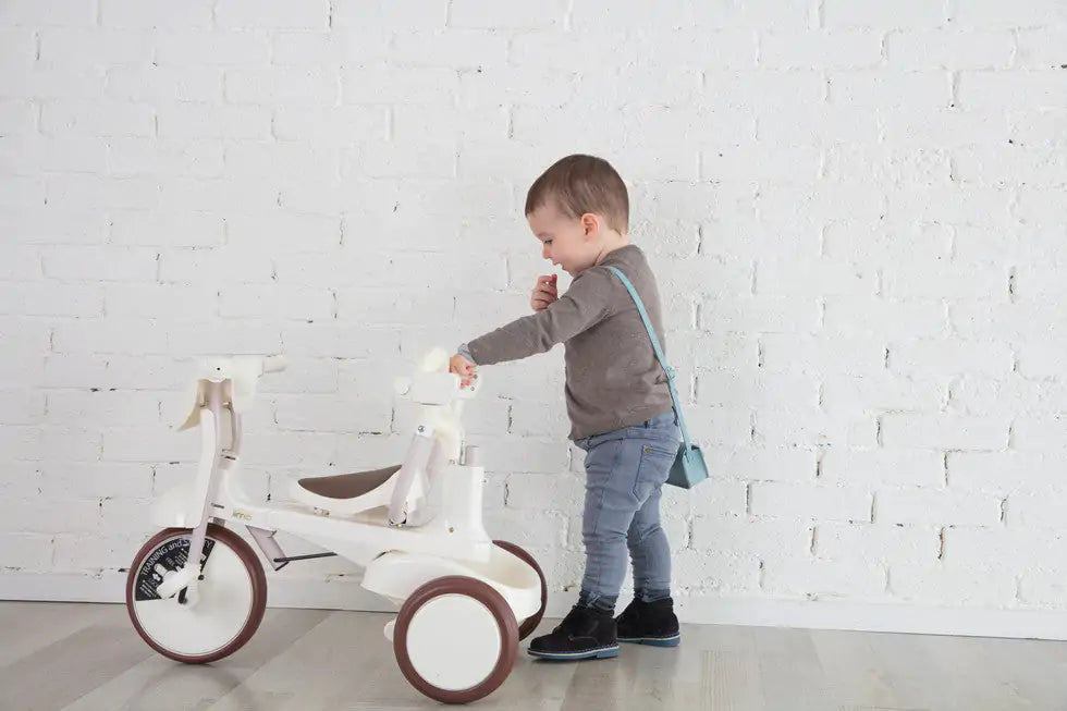 iimo 3-in-1 Foldable Tricycle with Canopy - The Little Big Store