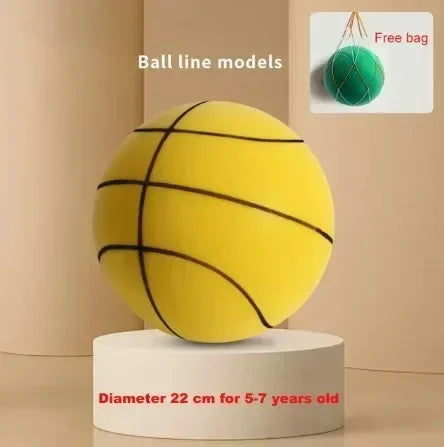 Whisper Hoop: The Silent Basketball - The Little Big Store