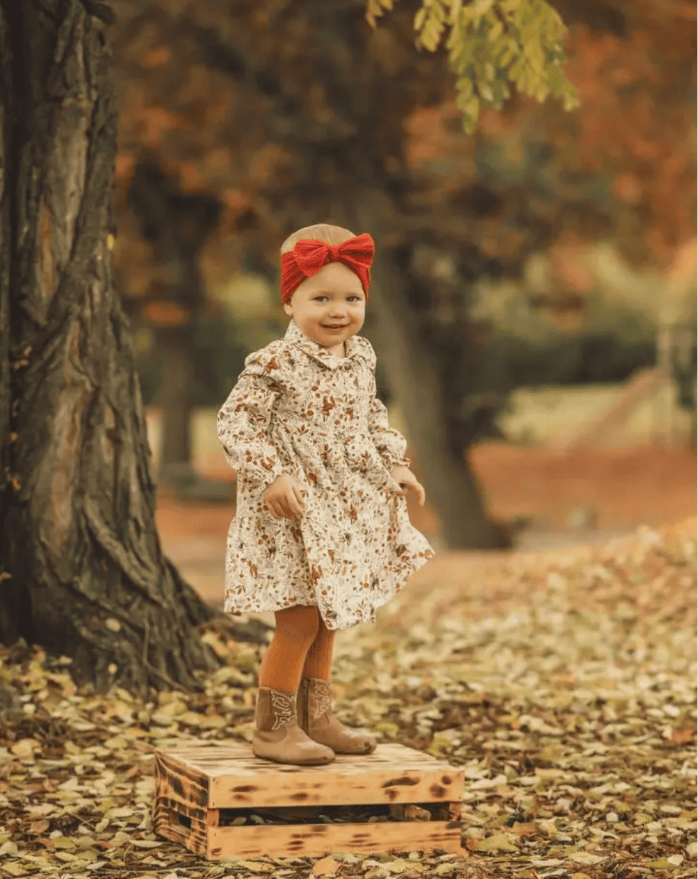 The Cowboy Boot - The Little Big Store