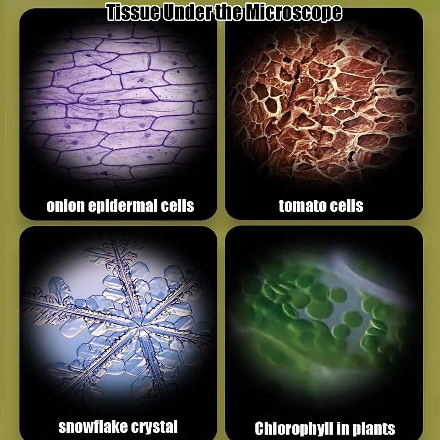 MicroExplorer Pocket Science Microscope Kit - The Little Big Store