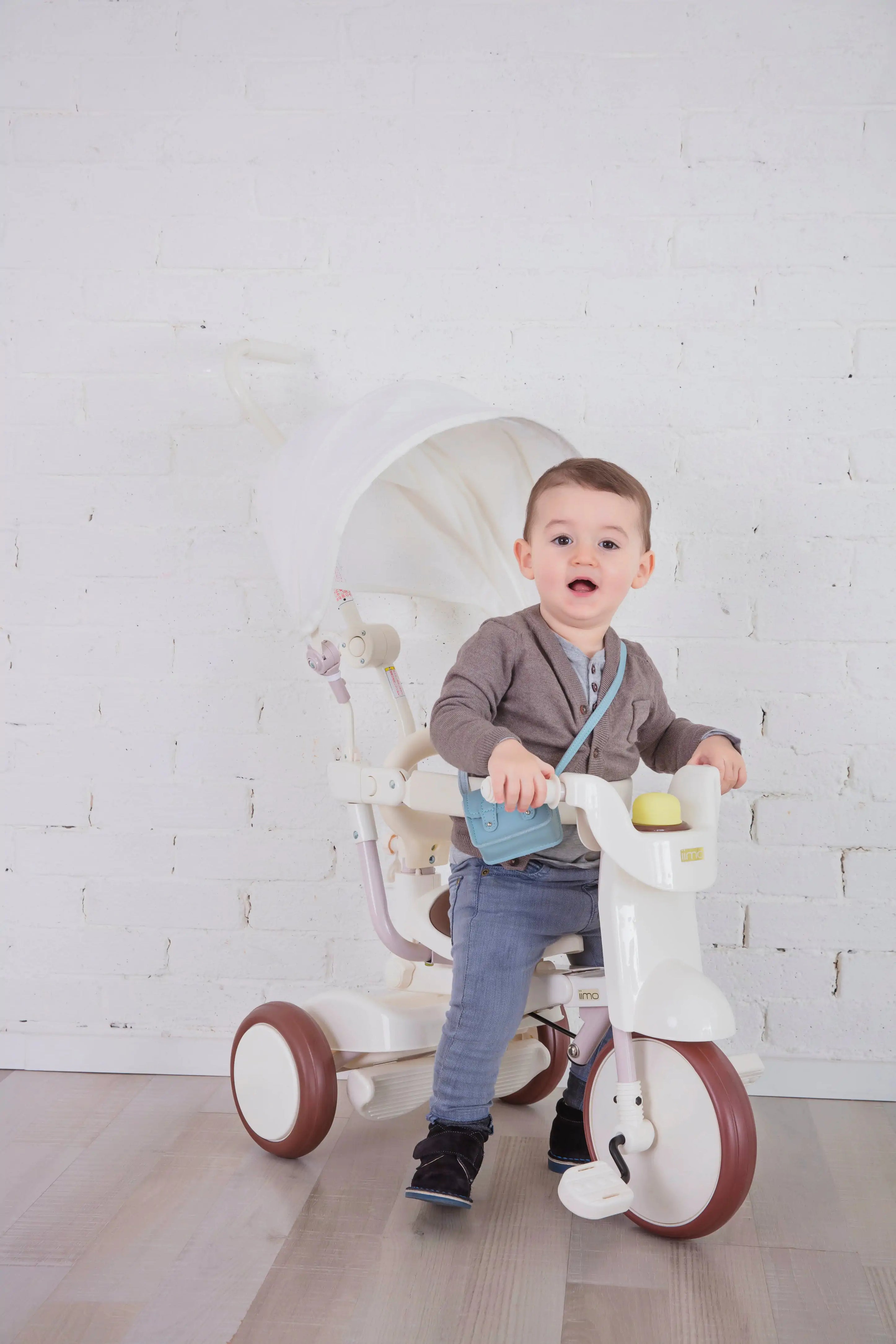 iimo 3-in-1 Foldable Tricycle with Canopy - The Little Big Store