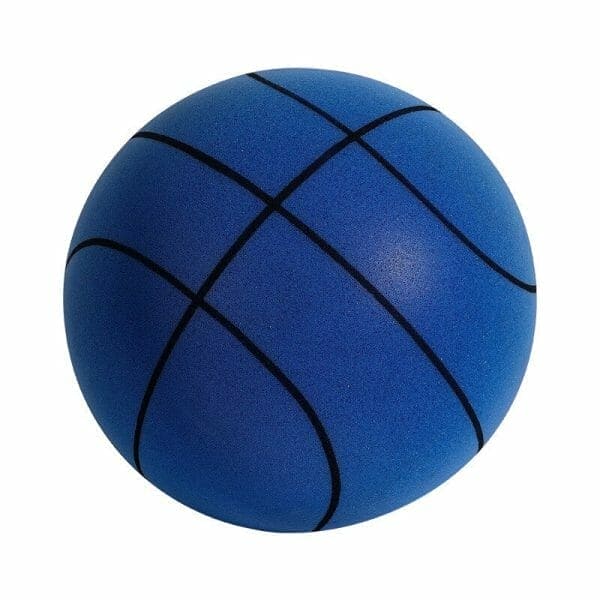 Whisper Hoop: The Silent Basketball