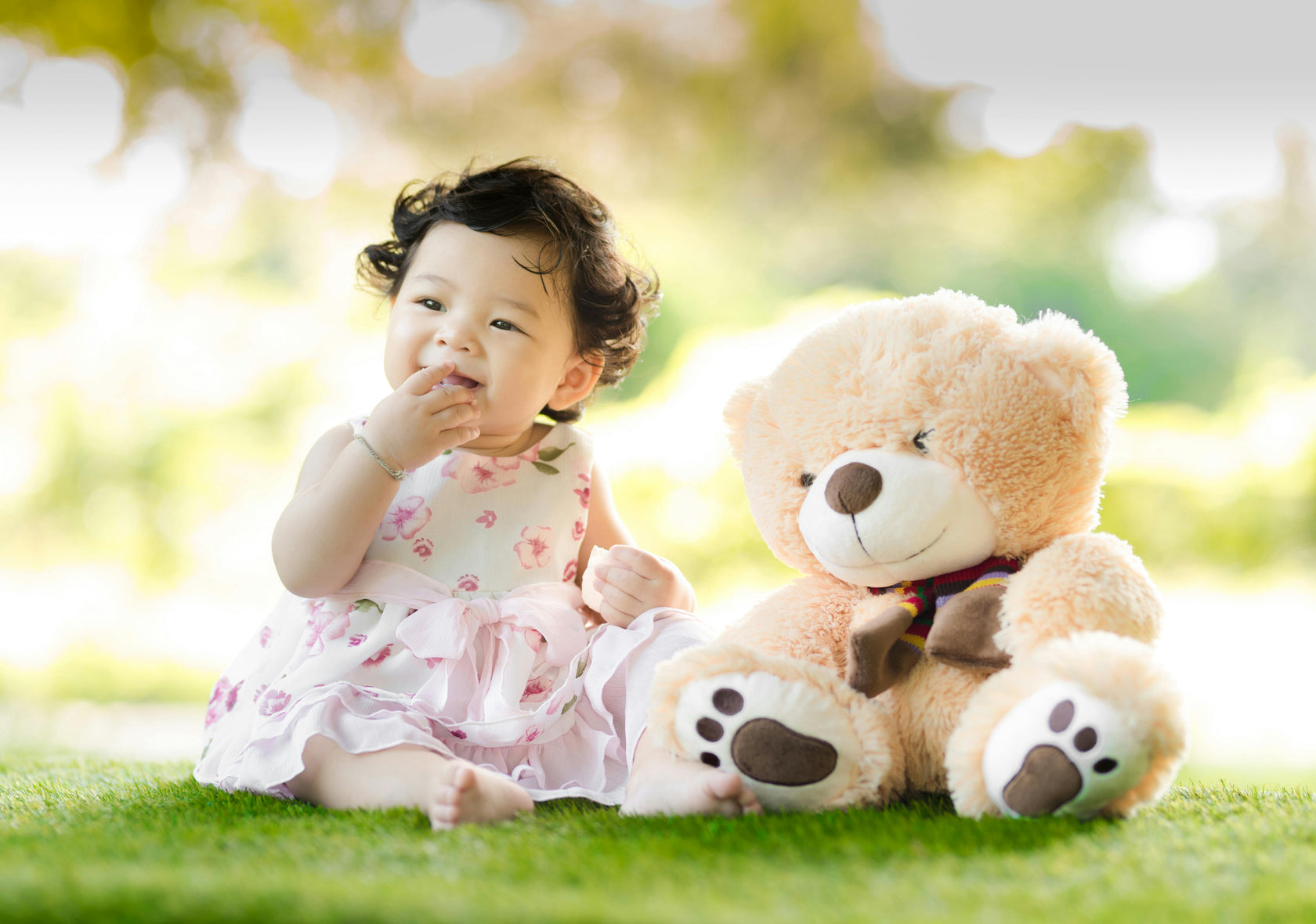 Toys - Soft & Plush Toys