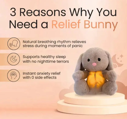 Rabbit Sensory Plush Toy - The Little Big Store