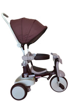 iimo 3-in-1 Foldable Tricycle with Canopy - The Little Big Store