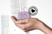 PRODUCT OF THE MONTH SUBSCRIPTION for WOMEN - Will be shipped every month for one year - The Little Big Store