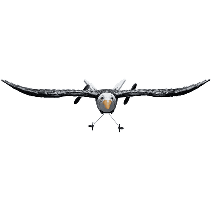 VEVOR RC Airplane Biomimetic Eagle EPP Foam RC Plane Toy 2.4 GHz Remote Control - The Little Big Store