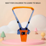 83026006