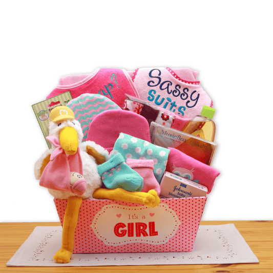 Little Princess Welcome Basket – Pink Baby Girl Gift Set for Newborns - The Little Big Store