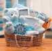 Our Precious Baby Carrier - Blue - baby bath set - baby boy gift basket - new baby gift basket - baby gift baskets - baby shower gifts - The Little Big Store