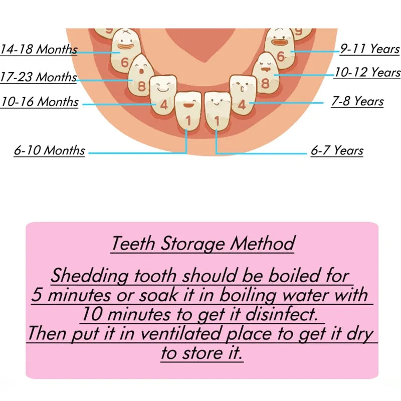 Wooden Baby Tooth Storage Box for Kids - The Little Big Store