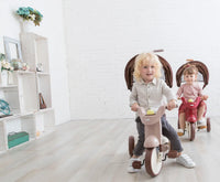 iimo 3-in-1 Foldable Tricycle with Canopy - The Little Big Store