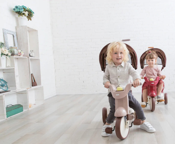 iimo 3-in-1 Foldable Tricycle with Canopy - The Little Big Store