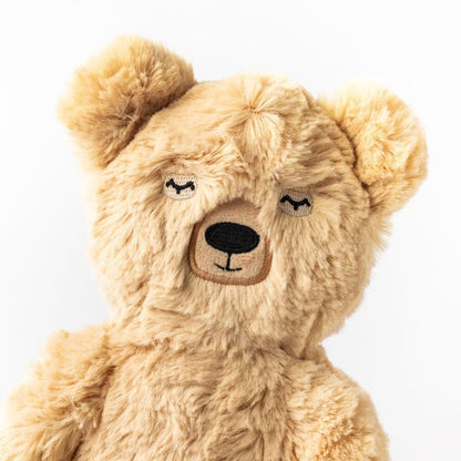 🌼 GratiBear™ – Honey Bear Plush & Gratitude Story Set for Kids