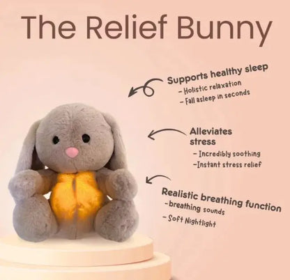 Rabbit Sensory Plush Toy - The Little Big Store