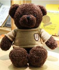 Sweater Teddy Bear Doll Plush Toy Bear Pillow Ragdoll - The Little Big Store