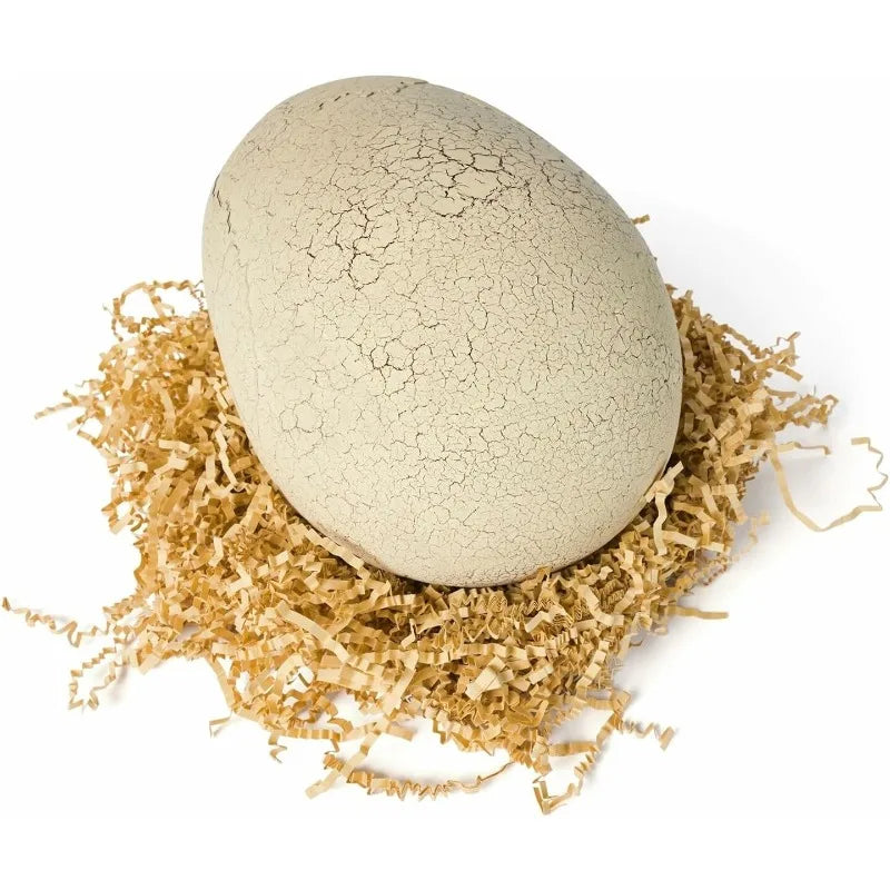RoboHatch Interactive Dinosaur Egg Toy