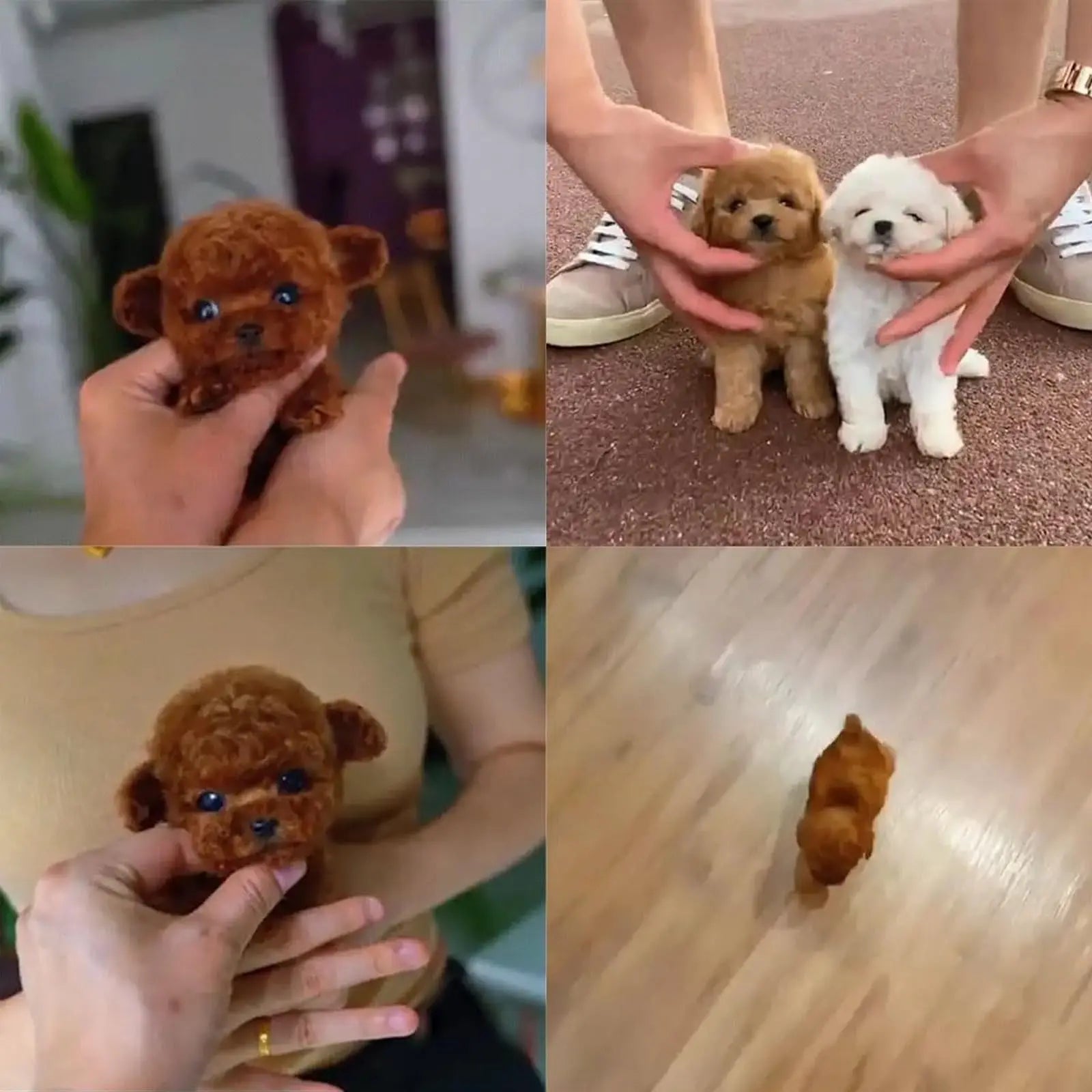 🐾 FurReal Buddy™ – Lifelike Cuddles, Zero Mess! 🧸💖