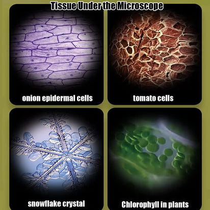 MicroExplorer Pocket Science Microscope Kit - The Little Big Store