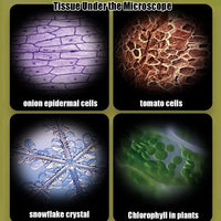 MicroExplorer Pocket Science Microscope Kit - The Little Big Store