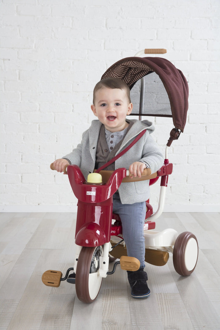 iimo 3-in-1 Foldable Tricycle with Canopy - The Little Big Store