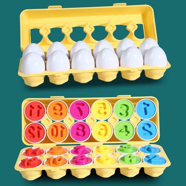 Matching Montessori Sensory Educational Eggs - The Little Big Store