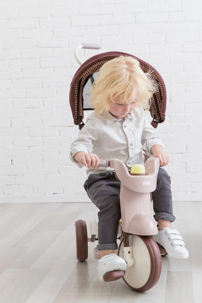 iimo 3-in-1 Foldable Tricycle with Canopy - The Little Big Store