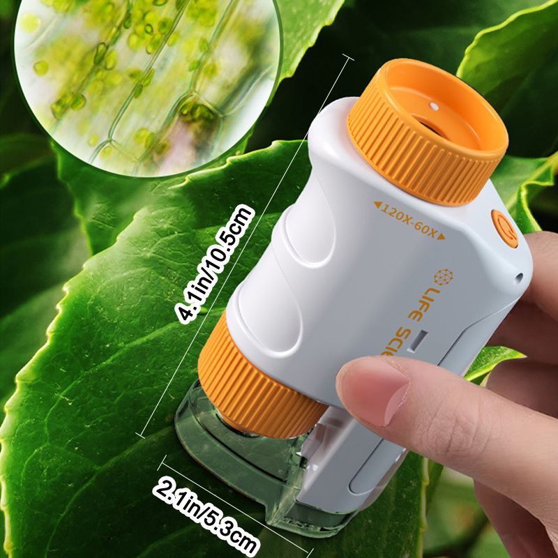Handheld Microscope Set with LED Light – 60X–120X STEM Educational Toy