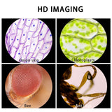 Illustrative supplier sample views, not verified images captured by this microscope