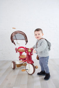 iimo 3-in-1 Foldable Tricycle with Canopy - The Little Big Store