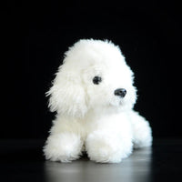 Plush Simulation White Teddy Dog Doll - The Little Big Store