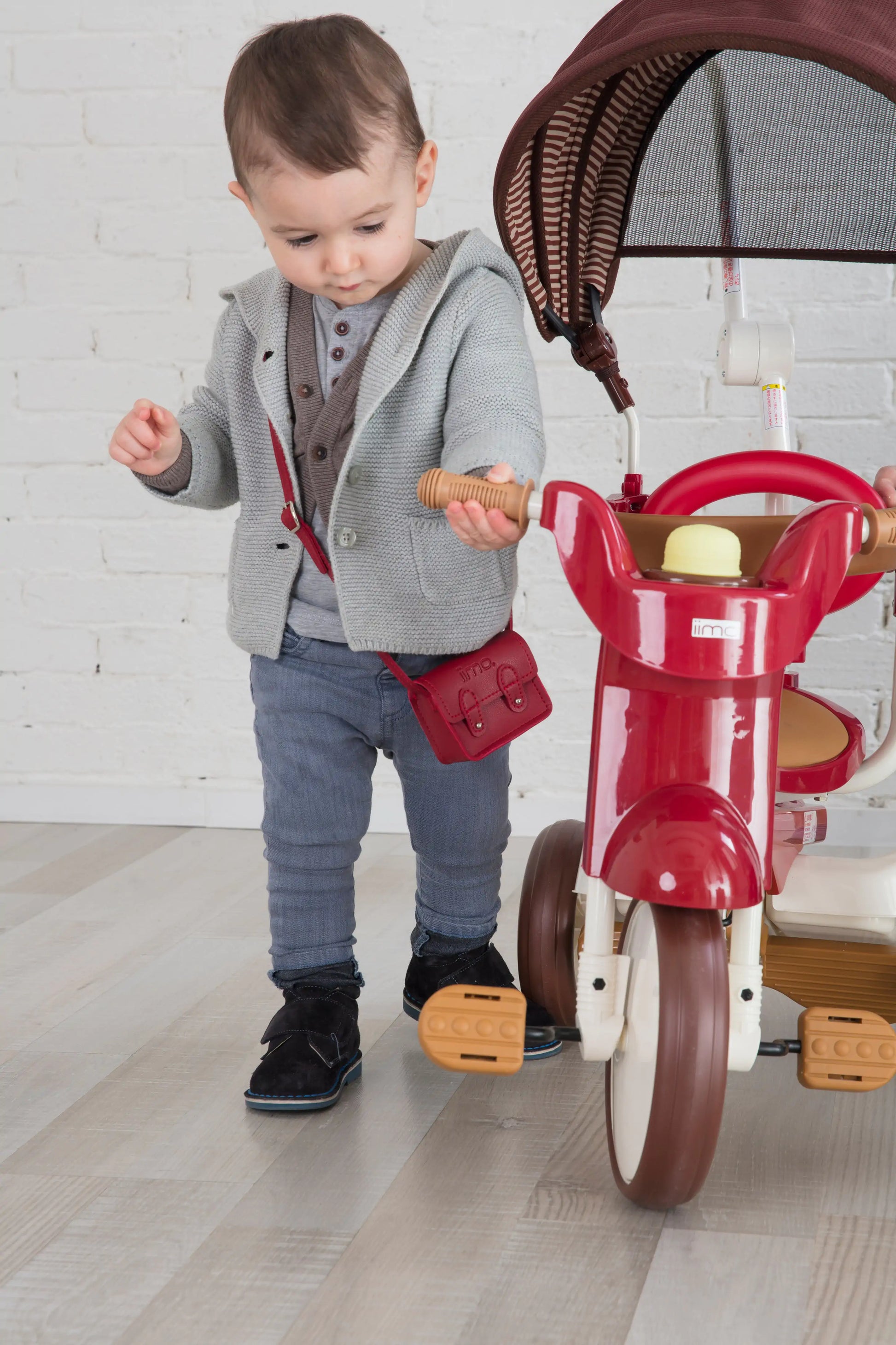 iimo 3-in-1 Foldable Tricycle with Canopy - The Little Big Store