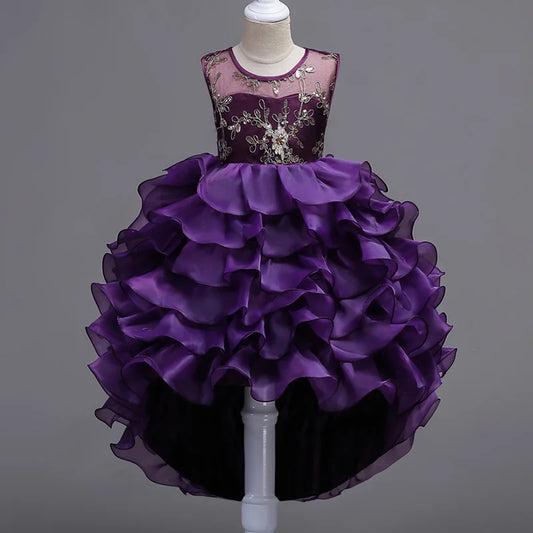 Enchanting Embroidery: Baby Girls' Princess Flower Tutu Dress