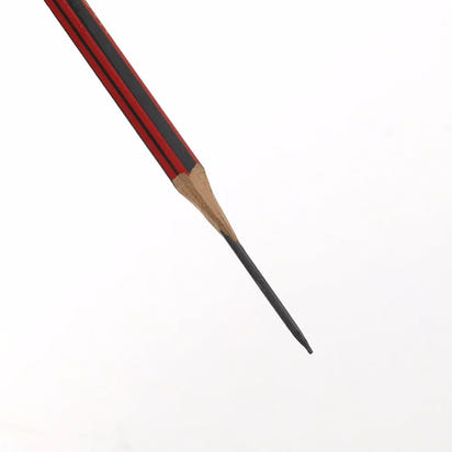 Sketch Magic: 10Pcs HB Sketch Pencils with Eraser Set for Kids! - The Little Big Store