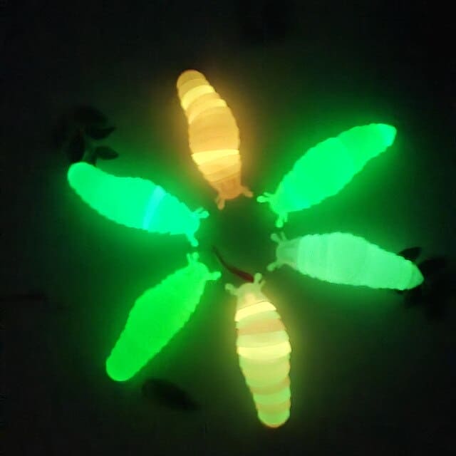 Colorful Calm: Rainbow 3D Slug Fidget Toy 🐌 - The Little Big Store