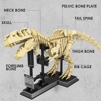 🦖 Unleash Prehistoric Fun with T-Rex Dinosaurs Fossil Building Blocks! 🦴🔧 - The Little Big Store